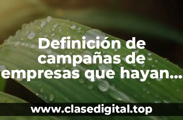 Definición de campañas de empresas que hayan tenido ética