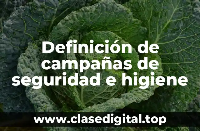 Definición de campañas de seguridad e higiene