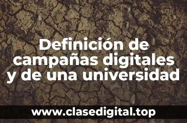 Definición de campañas digitales y de una universidad