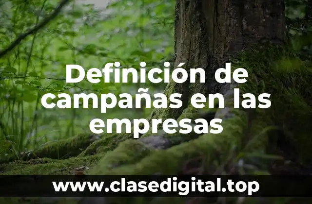 Definición de campañas en las empresas