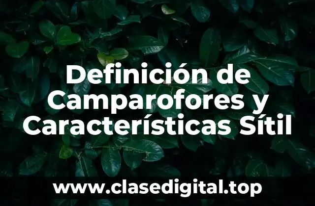 Definición de Camparofores y Características Sítil