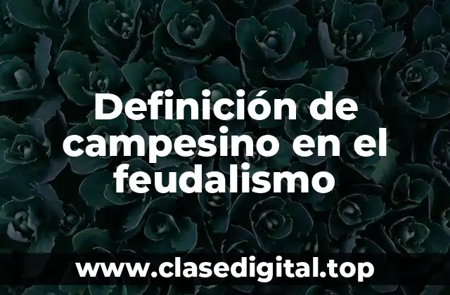 Definición de campesino en el feudalismo