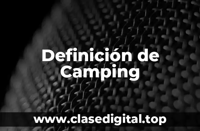 Definición de Camping