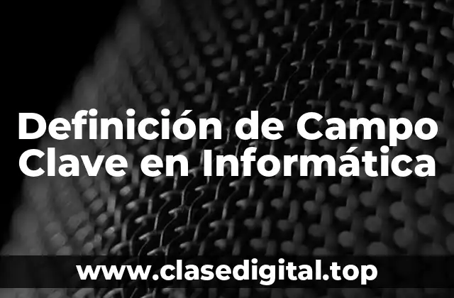 Definición de Campo Clave en Informática