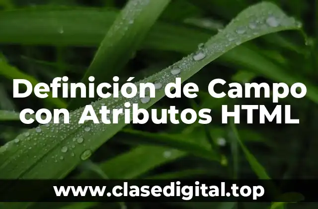 Definición de Campo con Atributos HTML