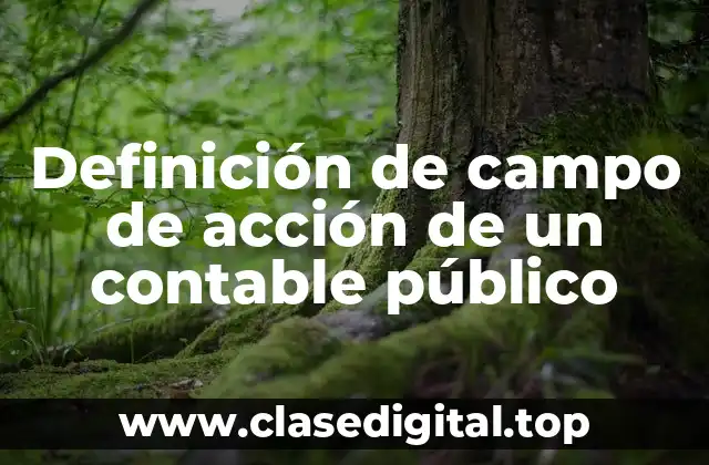 Definición de campo de acción de un contable público