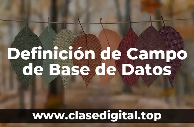 Definición de Campo de Base de Datos
