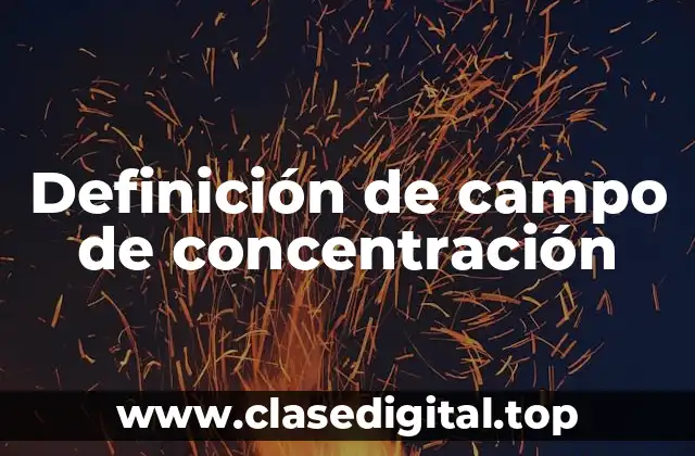 Definición de campo de concentración