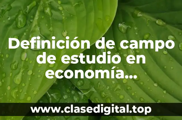 Definición de campo de estudio en economía empresarial