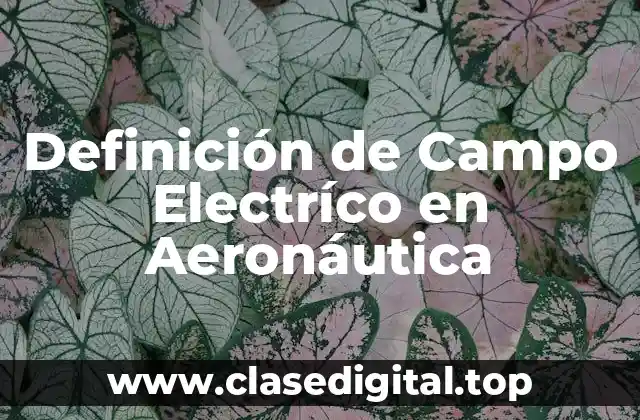 Definición de Campo Electríco en Aeronáutica