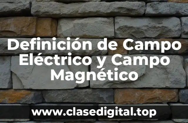 Definición de Campo Eléctrico y Campo Magnético