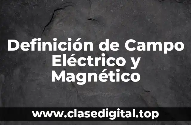 Definición Técnica de Campo Eléctrico y Magnético