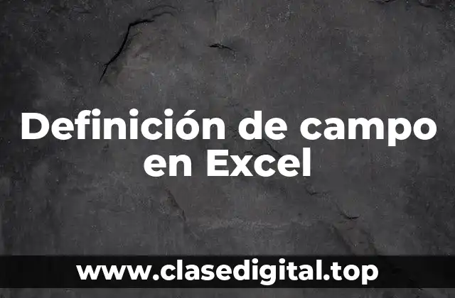 Definición técnica de campo en Excel