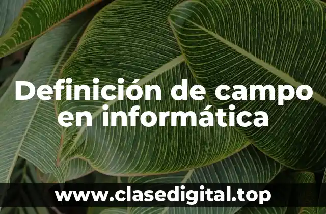 Definición de campo en informática