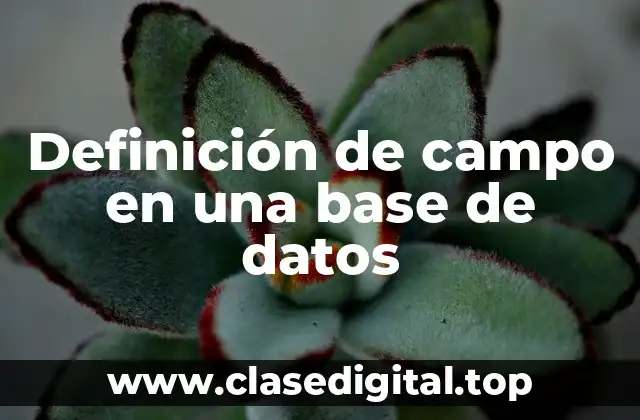 Definición de campo en una base de datos