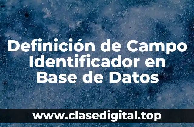 Definición de Campo Identificador en Base de Datos
