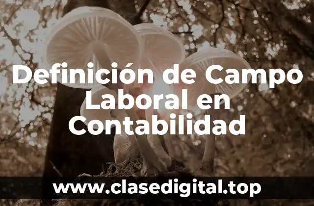 Definición de Campo Laboral en Contabilidad