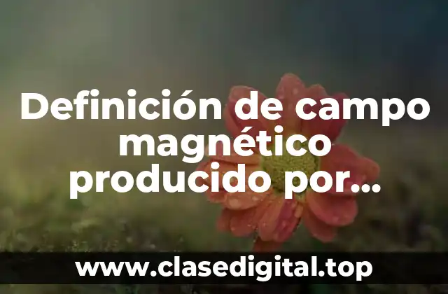 Definición de campo magnético producido por corriente