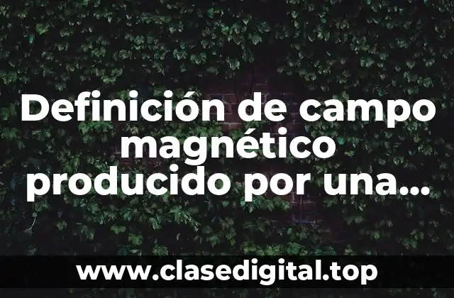 Definición técnica de campo magnético producido por una espira