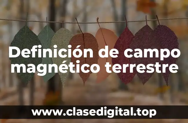 Definición de campo magnético terrestre