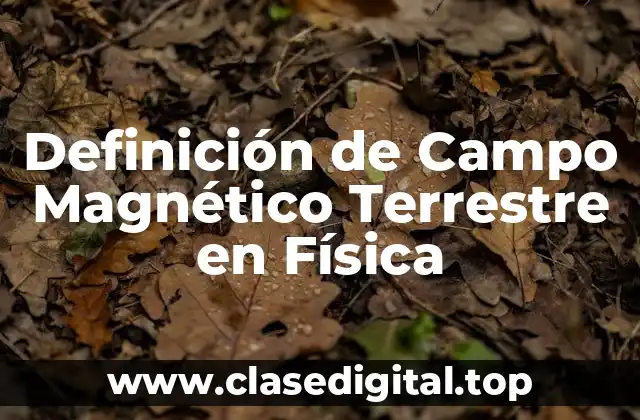 Definición de Campo Magnético Terrestre en Física