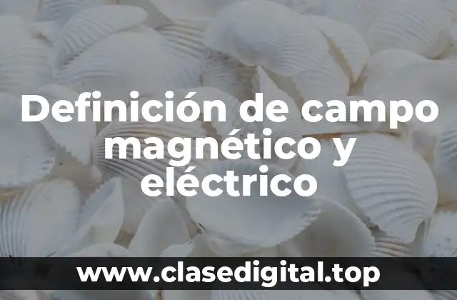 Definición de campo magnético y eléctrico