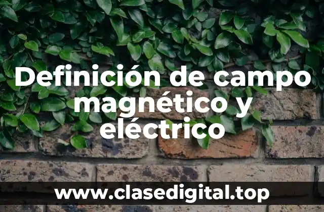 Definición técnica de campo magnético