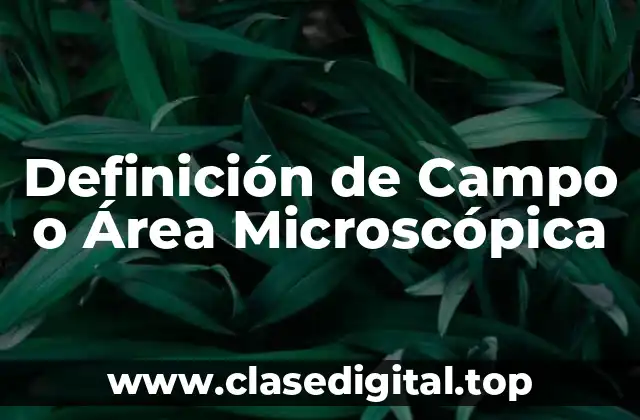 Definición de Campo o Área Microscópica