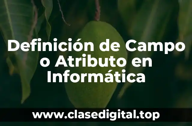 Definición de Campo o Atributo en Informática