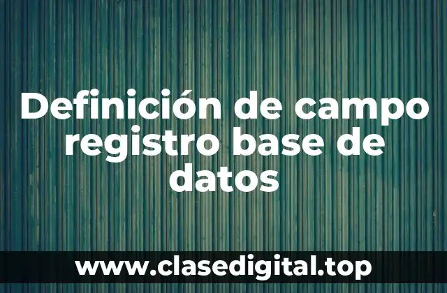 Definición de campo registro base de datos