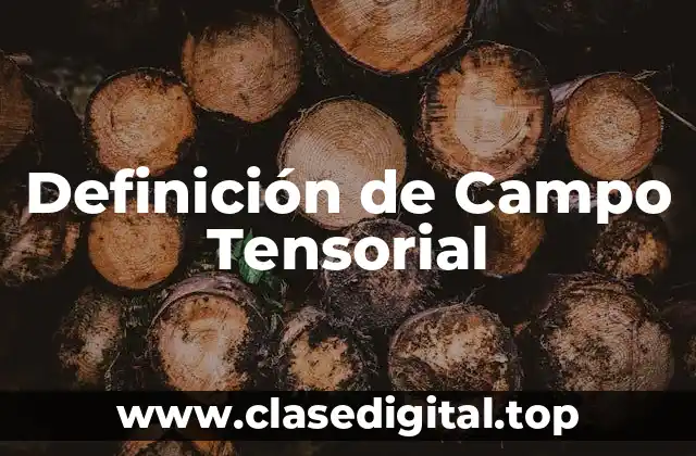 Definición de Campo Tensorial