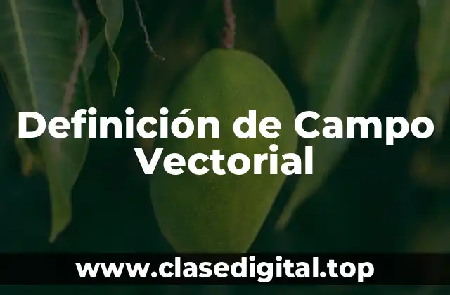 Definición de Campo Vectorial