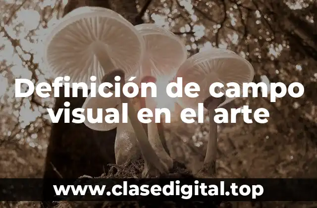 Definición de campo visual en el arte