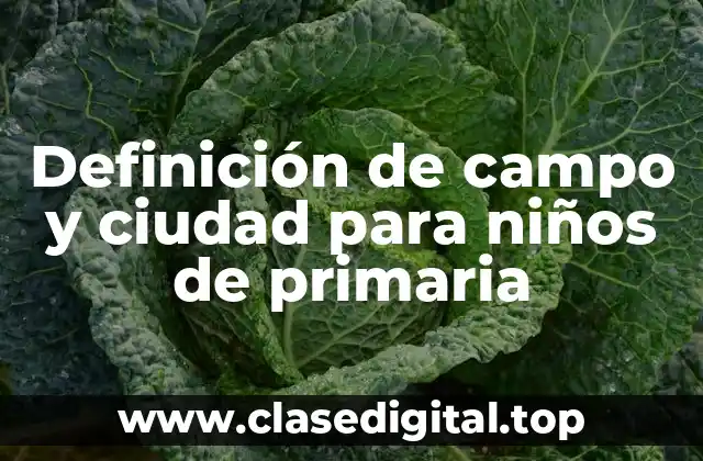 Definición de campo y ciudad para niños de primaria