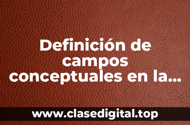 Definición de campos conceptuales en la escuela