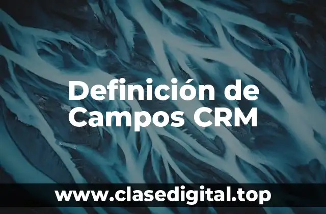 Definición de Campos CRM