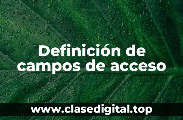 Definición de campos de acceso