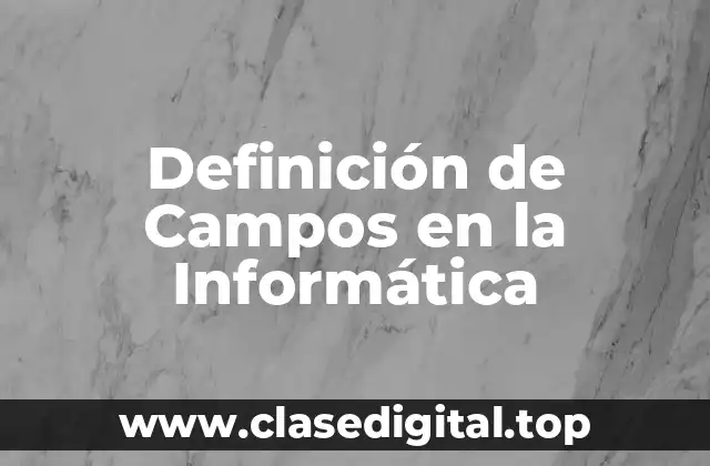 Ejemplos de Campos en la Informática