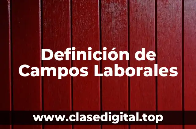 Definición de Campos Laborales
