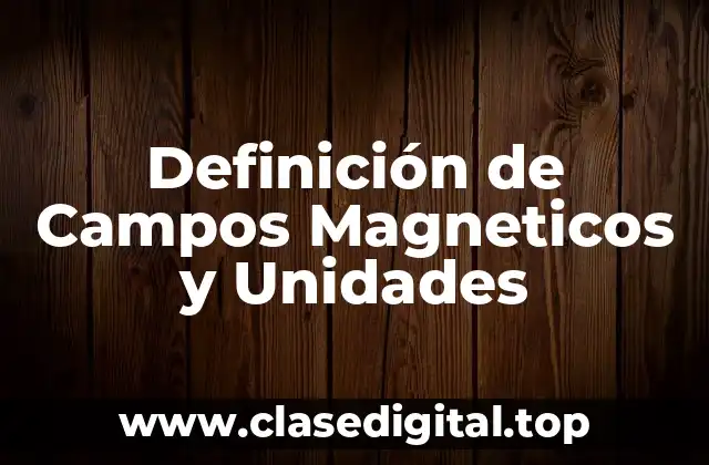 Definición de Campos Magneticos y Unidades