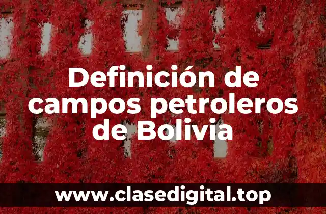 Definición de campos petroleros de Bolivia