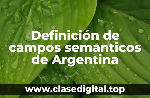 Definición de campos semanticos de Argentina