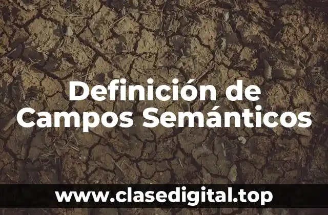 Ejemplos de Campos Semánticos