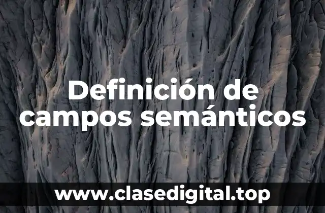Definición técnica de campos semánticos
