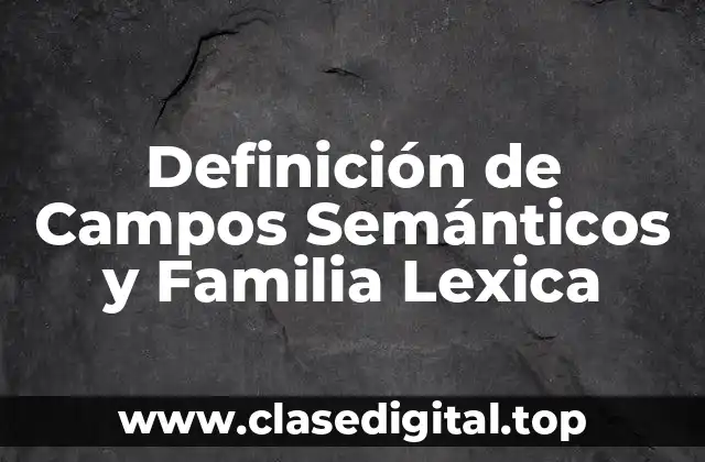 Ejemplos de Campos Semánticos