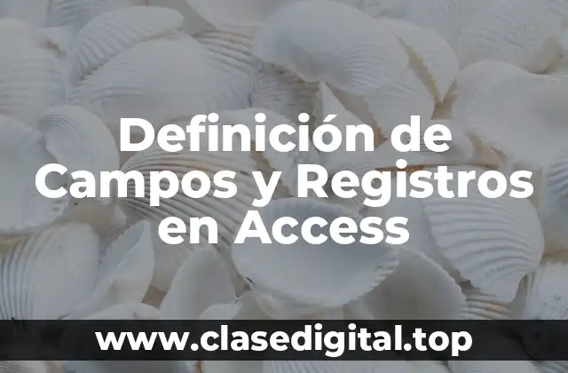 Definición de Campos y Registros en Access