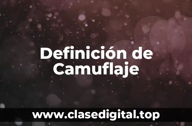 Definición de Camuflaje
