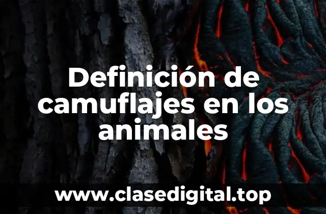 Definición de camuflajes en los animales