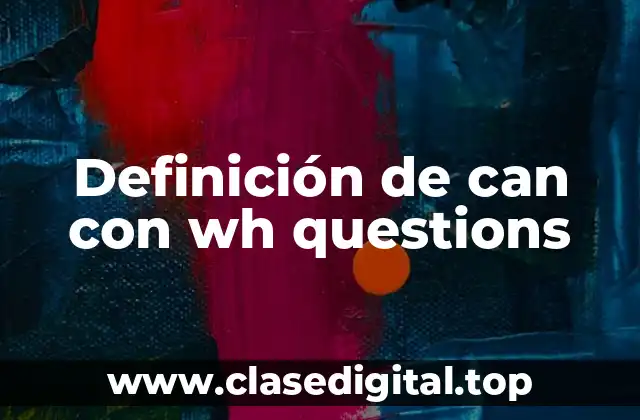 Definición de can con wh questions
