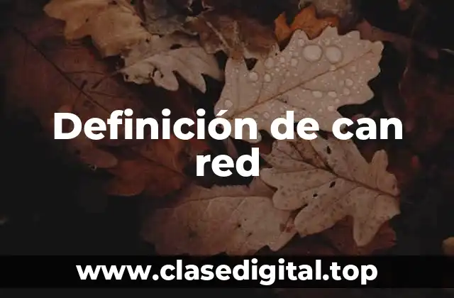 Definición de can red